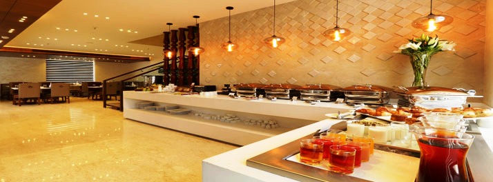 2363/Ameya Suites - New Delhi 06.jpg